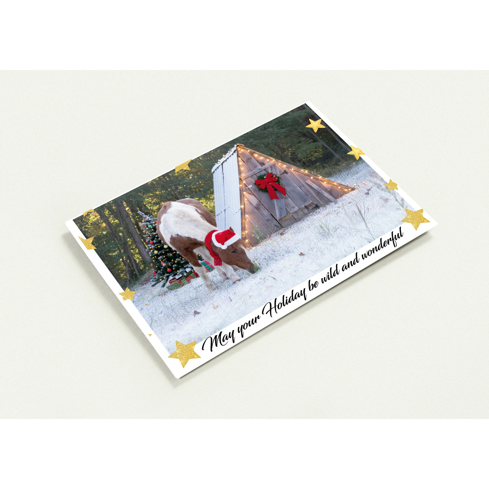 475b1ec1-7572-4ae0-b6ab-ae2f0a7f98aa