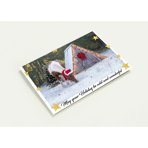 475b1ec1-7572-4ae0-b6ab-ae2f0a7f98aa