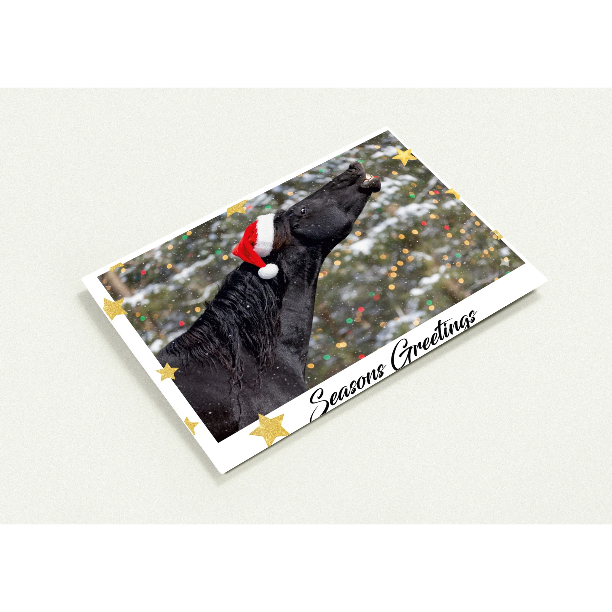 f11a1278-fe2b-4505-9f4a-5b4b3bb63da4